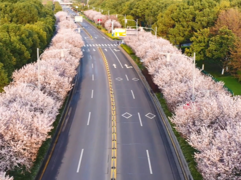盤點“一帶一路”上的鹿山元素